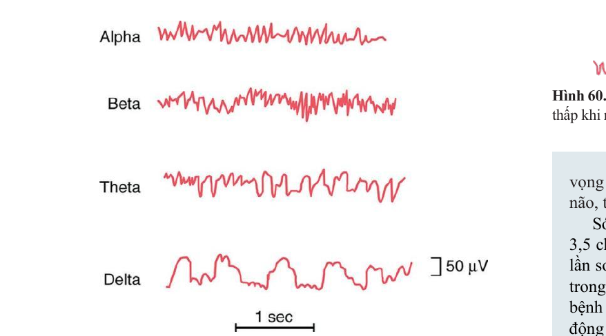 Các dải tần EEG kinh điển