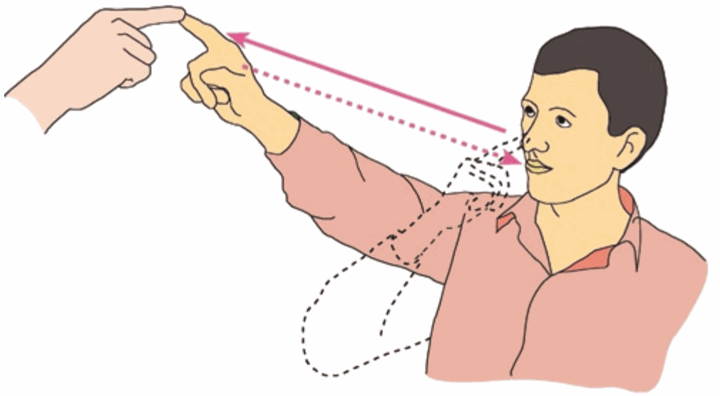 Nghiệm pháp ngón tay–mũi