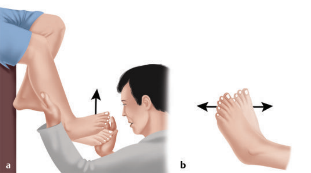 Khám clonus cổ chân
