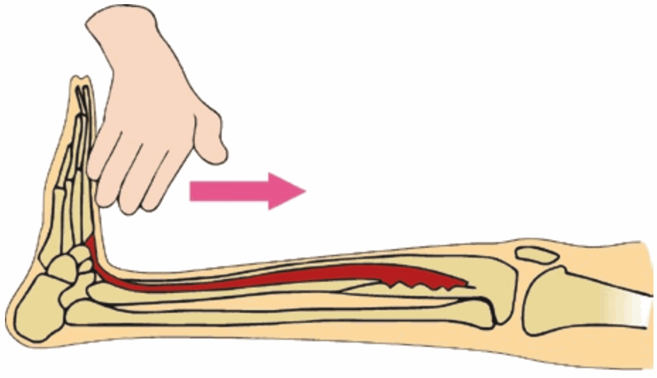 Khám gấp mu cổ chân