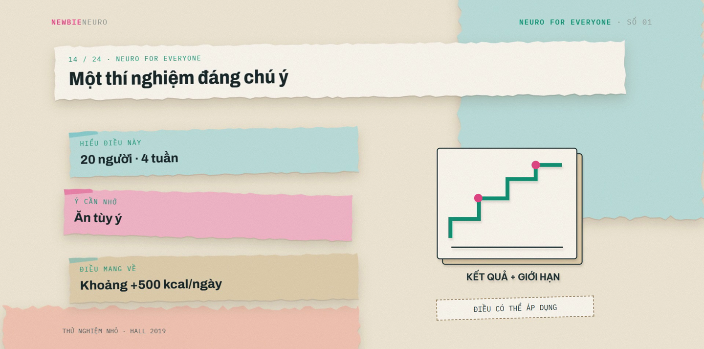 Thử nghiệm 20 người: khẩu phần siêu chế biến và ít chế biến